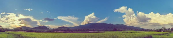 位于泰国清迈的多伊苏富士山的稻田上 美丽艳阳天的老式色调形象映衬着天空与高山的映衬 — 图库照片