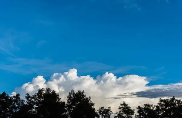 Silueta Záběr Obraz Stromu Západu Slunce Oblohy Pozadí — Stock fotografie