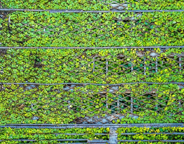 Immagine Dell Impianto Sul Drenaggio Delle Acque Reflue Giorno — Foto Stock