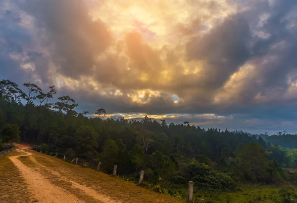 Image Paysage Ban Wat Chan Pine Forest Amphoe Kallayaniwattana Chiang — Photo