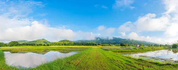 Panorama Imagem Beleza Dia Ensolarado Campo Arroz Com Céu Montanha — Fotografia de Stock