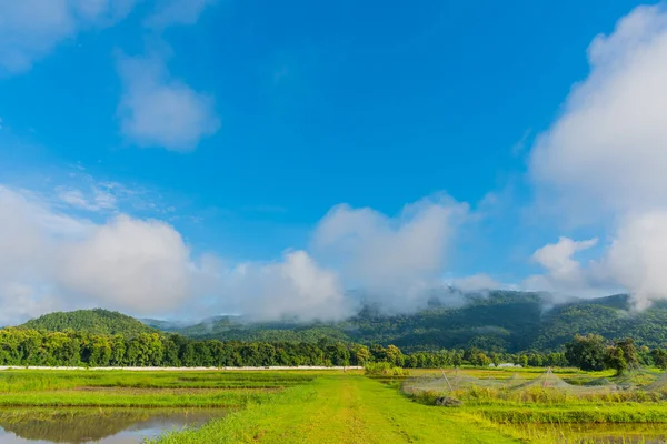 泰国清迈都城稻田天山美景全景 — 图库照片