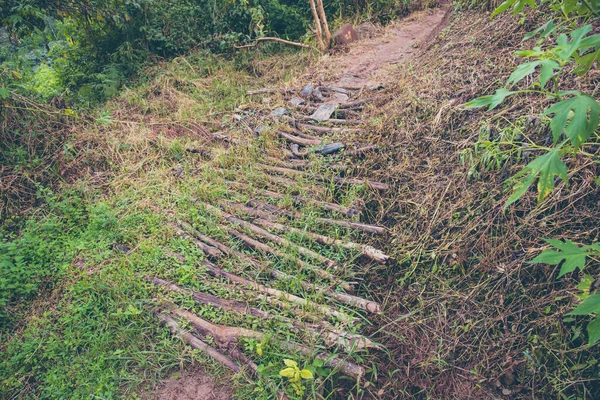 Vintage Ton Bild Lera Promenad Sätt Och Liten Träbro Grön — Stockfoto