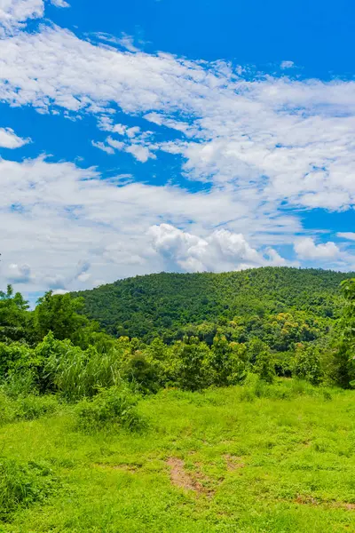 Tropikal yeşil orman ve bulutlu gökyüzü zamanı.