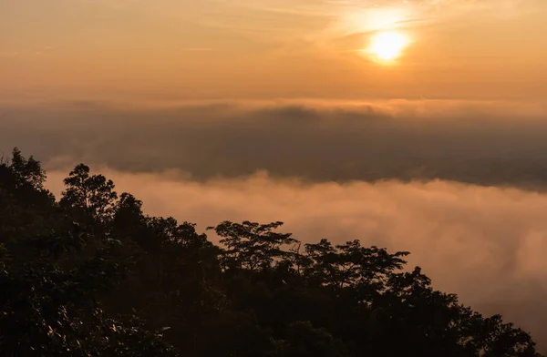 Image Row Tree Sun Fog View High Angle Spot Morning — Stock Photo, Image