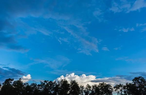 Silueta Záběr Obraz Stromu Západu Slunce Oblohy Pozadí — Stock fotografie