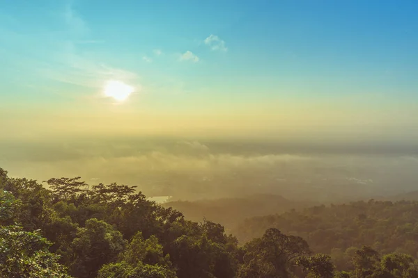 晨间高角日雾景观下一排树木的复古色调图像 免版税图库照片