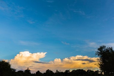 Arkaplanda ağaç ve günbatımı görüntüsü.