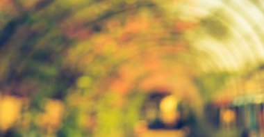 Arkaplan kullanımı için yeşil bahçeye giden boş yürüyüş yolunun soyut bulanık görüntüsü. (Klasik ton))