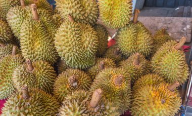 Tayland 'da gündüz pazarında kamyonda Durian satışı.