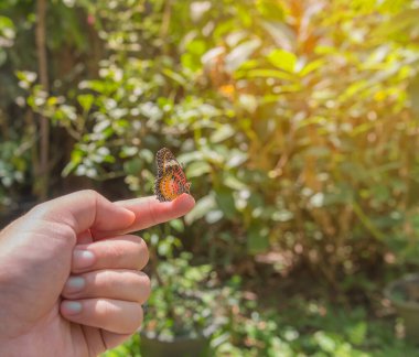 Bahçede gündüz vakti parmağında kelebek resmi .