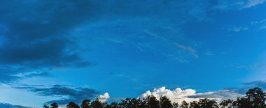 Arkaplanda ağaç ve günbatımı görüntüsü.