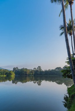 Akşam vakti Tayland 'daki Chiang Mai Üniversitesi' ndeki ang kaew 'de göl ve güzel mavi gökyüzü görüntüsü. (dikey)