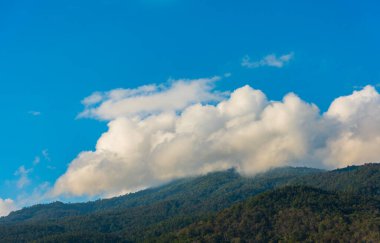 Tropikal yeşil dağ ormanının ve bulutlu gökyüzünün gündüz görüntüsü.
