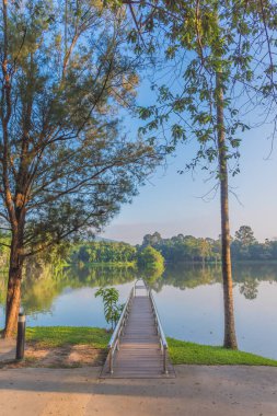 Akşam vakti Tayland 'daki Chiang Mai Üniversitesi' ndeki ang kaew 'de göl ve güzel mavi gökyüzü görüntüsü. (dikey)