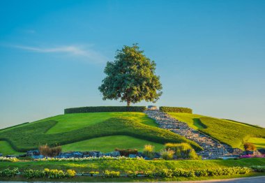 Altın duş ağacı ve merdiveni Royal Park 'ın önünde yapılmış Rajapruek, Chiang Mai Tayland .