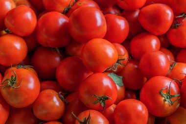 Sepette taze domates resmi .