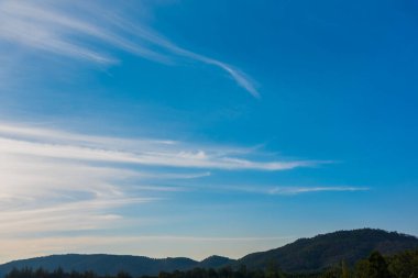 Tropikal yeşil dağ ormanının ve bulutlu gökyüzünün gündüz görüntüsü.