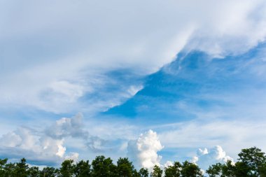 Ağaç ve mavi gökyüzü arkaplan resmi satırı.