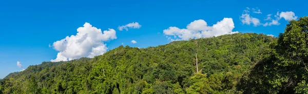 Imagen Panorámica Del Bosque Verde Tropical Cielo Nublado Durante Día — Foto de Stock