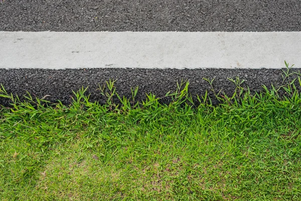 Textura Asfalto Estrada Durante Dia Com Grama Rocha — Fotografia de Stock