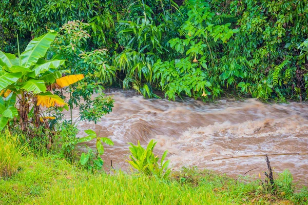 Lange Belichting Beeld Van Hoge Snelheid Waterstroom Rivier Zware Regen — Stockfoto