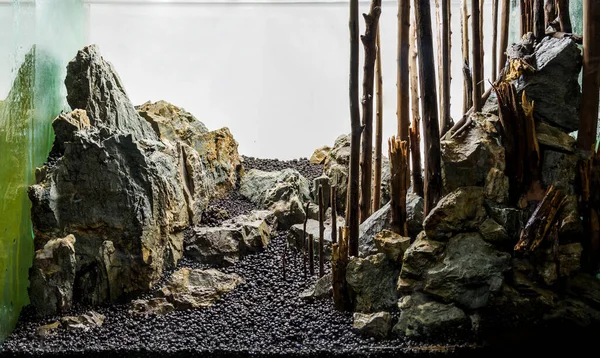 Rock Driftwood Hardscape — Stock Photo, Image