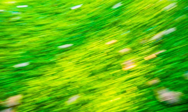 Snelle Beweging Wazig Beeld Van Groen Gras Textuur Voor Achtergrond — Stockfoto