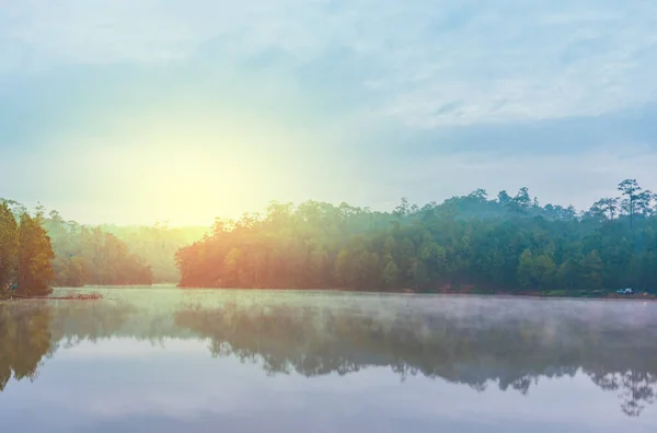 Bild Sjö Och Tallskog Morgonen Vid Ban Wat Chan Pine — Stockfoto