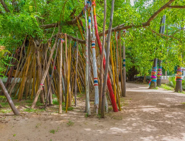 ランパン省のPhra Tad Lampang Luangの菩提樹の下の松葉杖 — ストック写真