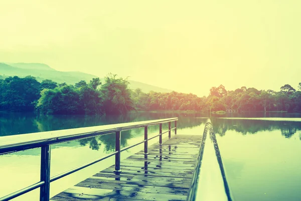 Imagen Tono Vintage Puente Acero Inoxidable Muelle Lago Ver Montaña — Foto de Stock