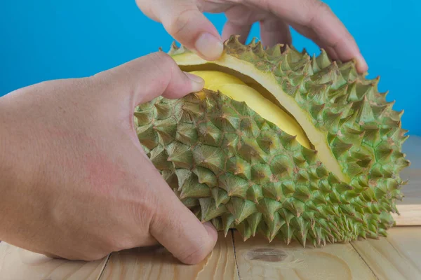 Mano Mantenga Cáscara Durian Para Ver Pulpa Amarilla Dentro —  Fotos de Stock