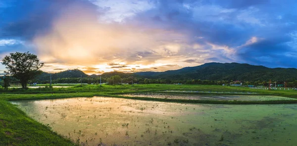 Panorama Obraz Krásy Slunečný Den Rýžovém Poli Oblohou Horami Pozadí — Stock fotografie