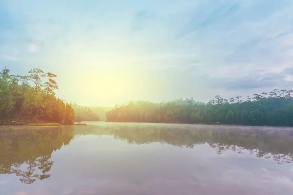 Bild Sjö Och Tallskog Morgonen Vid Ban Wat Chan Pine — Stockfoto