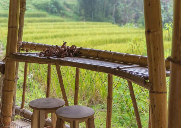 Bild Trästolar Bambu Hydda För Att Mogna Risfält Regnig Dag — Stockfoto
