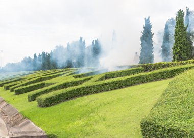 aedes sivrisinek öldürmek