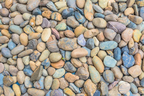 Pebble — Stock Photo, Image