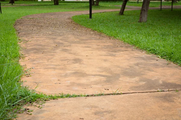 Orange Concrete Walk Way Surrounded Green Grasses — Stock Photo, Image