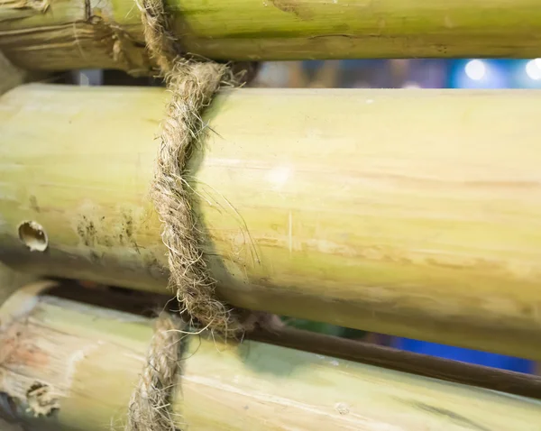 Крупным планом изображения веревки и бамбука — стоковое фото