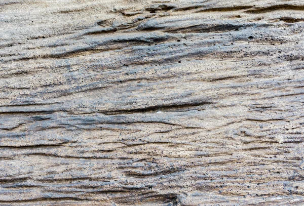 Ahşap perde ile gri beton doku üzerinde oyulmuş backgrou — Stok fotoğraf