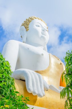 Altın buddha heykeli Tay Tapınak, Tayland 