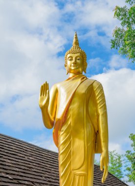 Altın buddha heykeli Tay Tapınak, Tayland 
