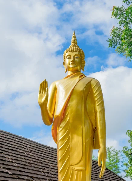 Altın buddha heykeli Tay Tapınak, Tayland — Stok fotoğraf