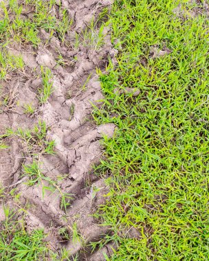 görüntü büyük tekerlek parça toprak witj yeşil çimenlerin üzerinde