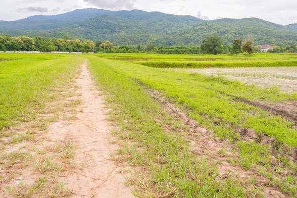 Pequeño camino al campo — Foto de Stock