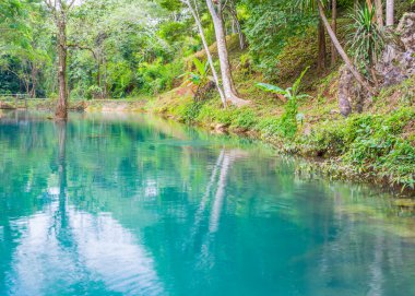 görüntü mavi-yeşil göl ve ağaçlar .