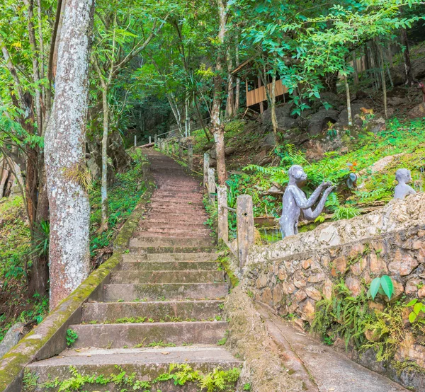 Imagen Escaleras Largas Camino Destino Del Bosque — Foto de Stock