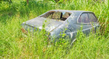 Eski araba Bush görüntü .