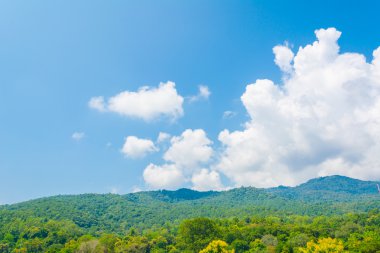 Yeşil tepe ve gökyüzü