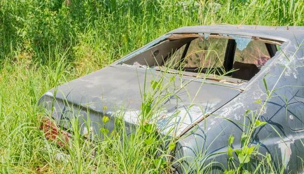 Afbeelding Van Oude Auto Bush — Stockfoto